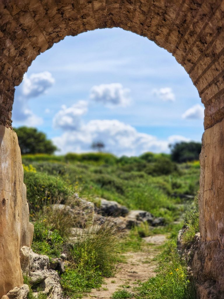 רמה שפי מסגור (2)